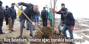 Rize Belediyesi binlerce ağacı toprakla buluşturuyor