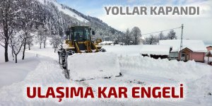 Rize ve Artvin'de kar nedeniyle 42 köye ulaşım sağlanamıyor