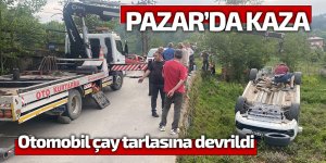 Pazar'da otomobil çay tarlasına devrildi