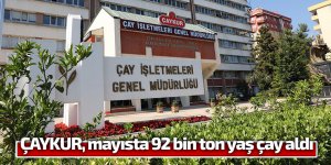 ÇAYKUR, mayısta 92 bin ton yaş çay aldı