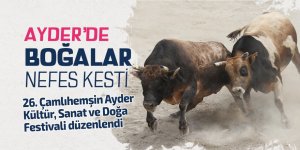 Ayder'de boğa güreşleri nefes kesti