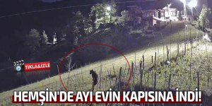 HEMŞİN'DE AYI EVİN KAPISINA İNDİ!