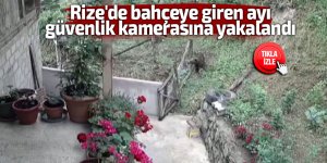 Rize'de bahçeye giren ayı güvenlik kamerasına yakalandı