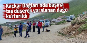 Kaçkar Dağları'nda başına taş düşerek yaralanan dağcı kurtarıldı