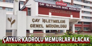 Çaykur kadrolu memurlar alacak