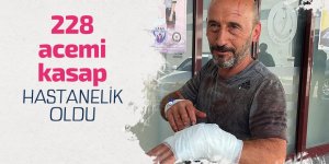 Karadeniz'de 6 ilde 228 acemi kasap hastanelik oldu