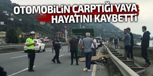 Otomobilin çarptığı yaya hayatını kaybetti