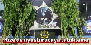 Rize'de uyuşturucuya tutuklama