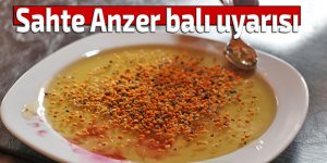 Anzerli bal üreticilerine sahte Anzer balı uyarısı