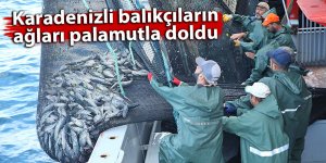 Karadenizli balıkçıların ağları palamutla doldu