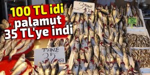 100 TL'den satılan palamut 35 TL'ye indi