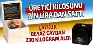 ÇAYKUR beyaz çaydan 230 kilogram aldı