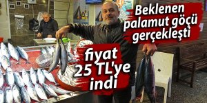 Beklenen palamut göçü gerçekleşti fiyat 25 TL'ye indi