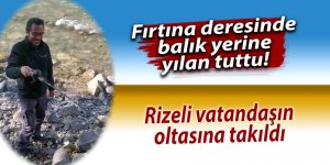 Fırtına deresinde balık yerine yılan tuttu!