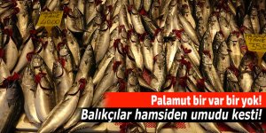 Palamut bir var bir yok! Balıkçılar hamsiden umudu kesti