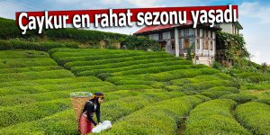 Çaykur en rahat sezonu yaşadı