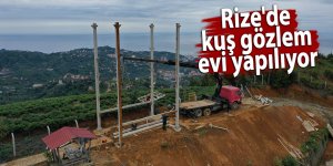 Rize'de kuş gözlem evi yapılıyor