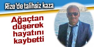 Rize'de ağaçtan düşen kişi hayatını kaybetti