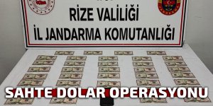 Rize'de sahte dolar operasyonu