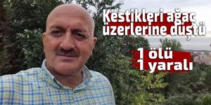 Kestiği ağaç üzerine düşen adam hayatını kaybetti