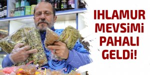 Ihlamur mevsimi pahalı geldi!