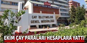 EKİM ÇAY PARALARI HESAPLARA YATTI