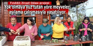 Yok olmaya yüz tutan yöre meyveleri yaşatılıyor