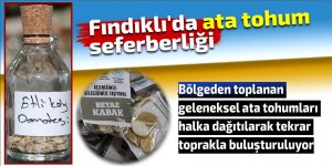 Fındıklı'da ata tohum seferberliği