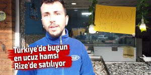 Türkiye'de bugün en ucuz hamsi Rize'de satılıyor