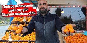 Tadı ve aromasıyla çay gibi Rize'nin markası oldu