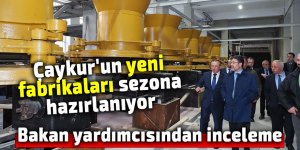 Çaykur'un yeni fabrikaları sezona hazırlanıyor