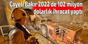 Çayeli Bakır 2022'de 102 milyon dolarlık ihracat yaptı