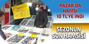 Pazar'da hamsi 10 TL'den satışa çıktı