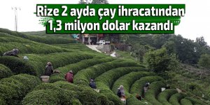 Rize 2 ayda çay ihracatından 1,3 milyon dolar kazandı