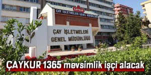 ÇAYKUR 1365 mevsimlik işçi alacak