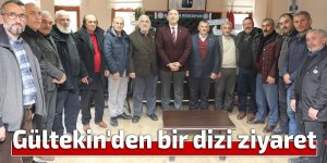 Gültekin'den bir dizi ziyaret