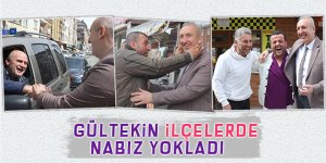 Gültekin, ilçelerde nabız yokladı