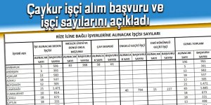 Çaykur işçi alım başvuru ve işçi sayılarını açıkladı