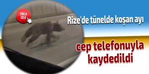 Rize'de tünelde koşan ayı cep telefonuyla kaydedildi