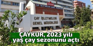 ÇAYKUR, 2023 yılı yaş çay sezonunu açtı