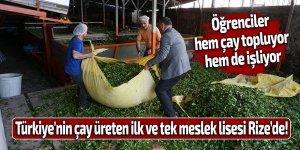 Türkiye'nin çay üreten ilk ve tek meslek lisesi Rize’de!