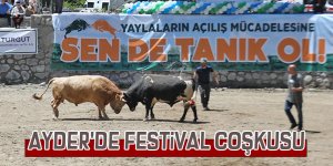 Ayder'de festival coşkusu