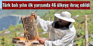 Türk balı yılın ilk yarısında 46 ülkeye ihraç edildi