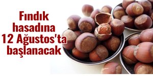 Fındık hasadına 12 Ağustos'ta başlanacak