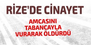 Amcasını tabancayla vurarak öldürdü