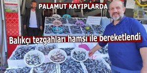 Balıkçı tezgahları hamsi ile bereketlendi, palamut kayıplarda