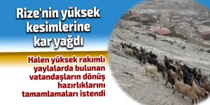 Rize'nin yüksek kesimlerine kar yağdı