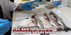 RTEÜ balık hastalıklarının önlenmesine katkıda bulunuyor