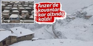 Anzer'de kovanlar kar altında kaldı!