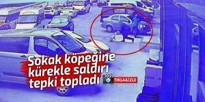 Sokak köpeğine kürekle saldırı tepki topladı